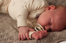 BIRKHOLM Rib Body Papirsbåde